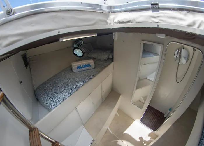 Charter Boat *
