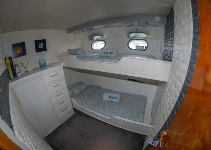 Charter Boat *
