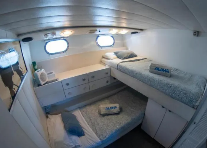 Botel Charter Boat