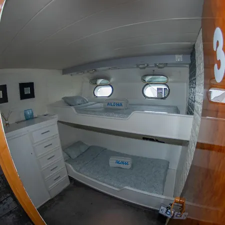 Charter Boat Tekne
