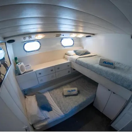 Tekne Charter Boat